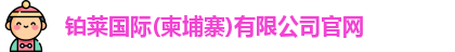铂莱国际
